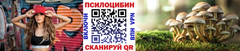 Псилоцибиновые грибы Psilocybe  гидра зеркало  Ермолино  сколько стоит 